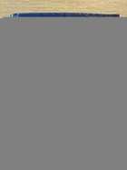 фото - предпросмотр