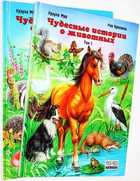 фото - предпросмотр