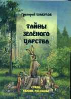 Обложка - предпросмотр